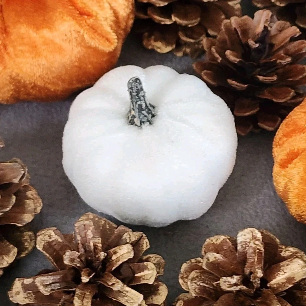 Fall Thanksgiving Bowl Filler Table Scatter Pumpkins Acorns Pinecones 35 Pc NEW